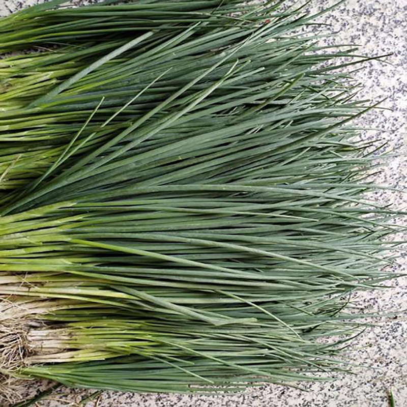 厂家食品原料香葱粉 - Image 4