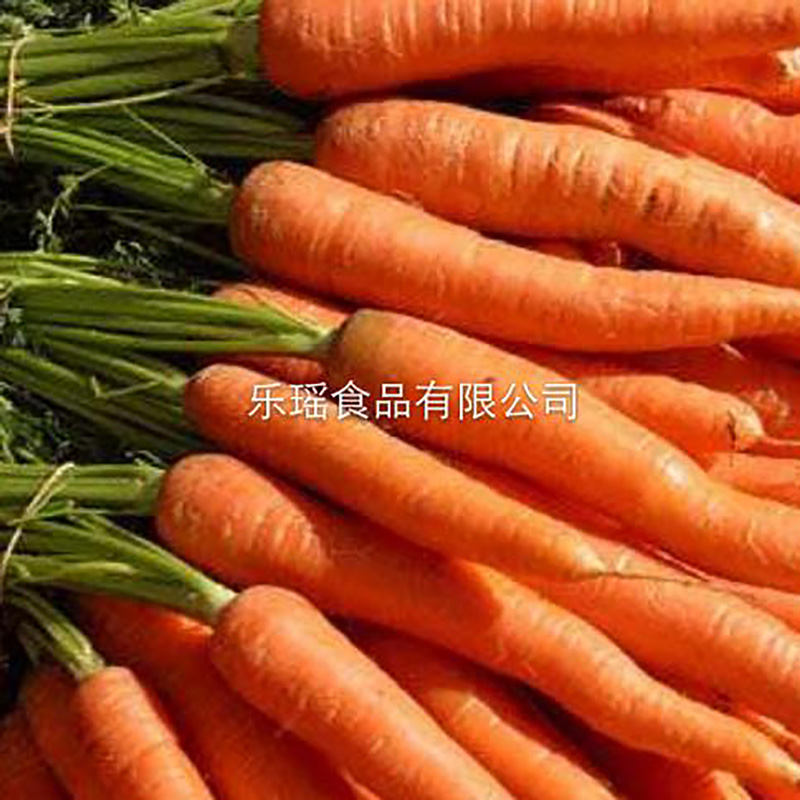 仙境湖牌脱水蔬菜散装胡萝卜粉 - Image 3