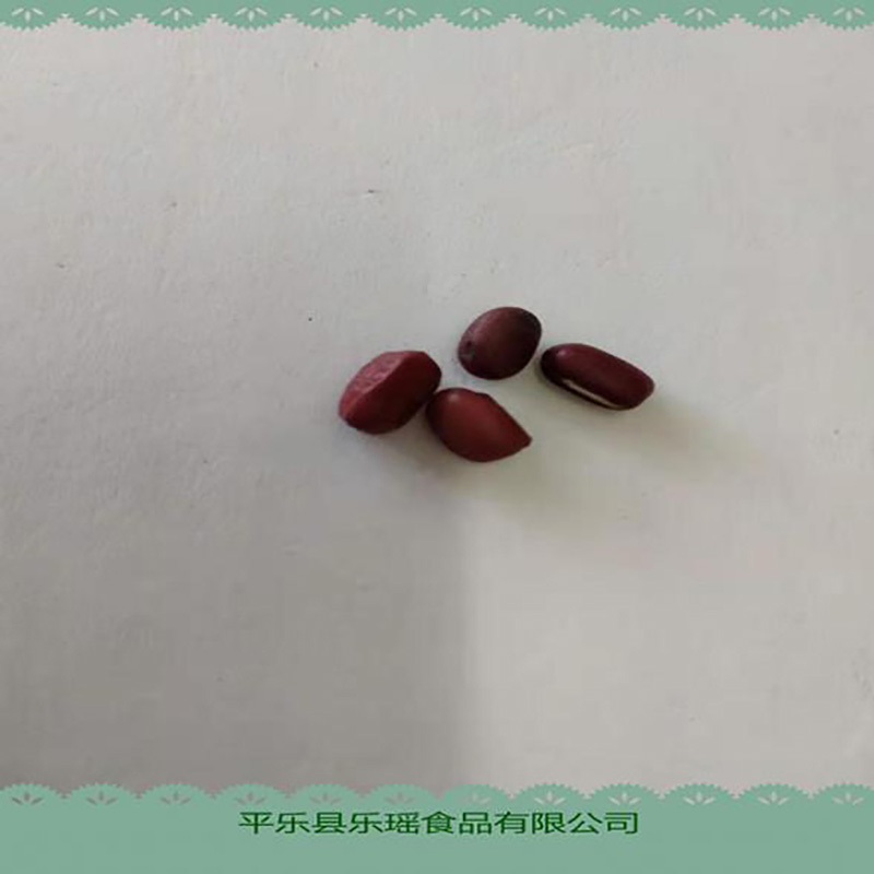 厂家低温烘焙熟红豆 - Image 2