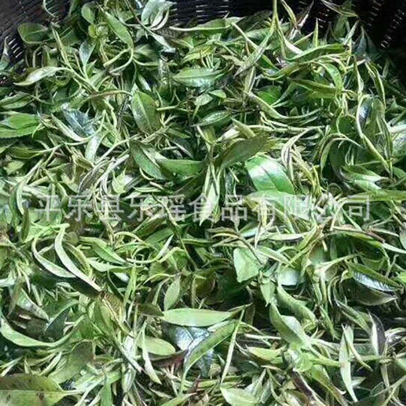 厂家供应广西特产石崖茶 - Image 3