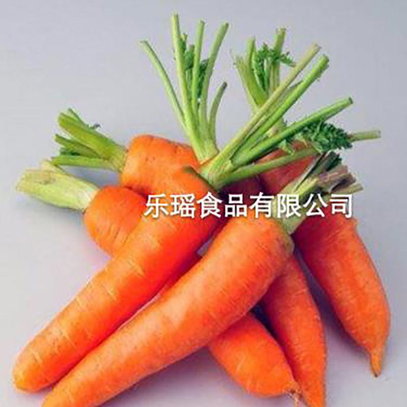 仙境湖牌脱水蔬菜散装胡萝卜粉 - Image 4