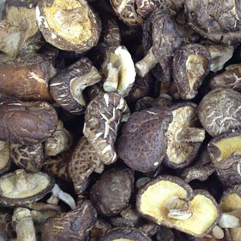 调味配料香菇粉批发厂家 - Image 4