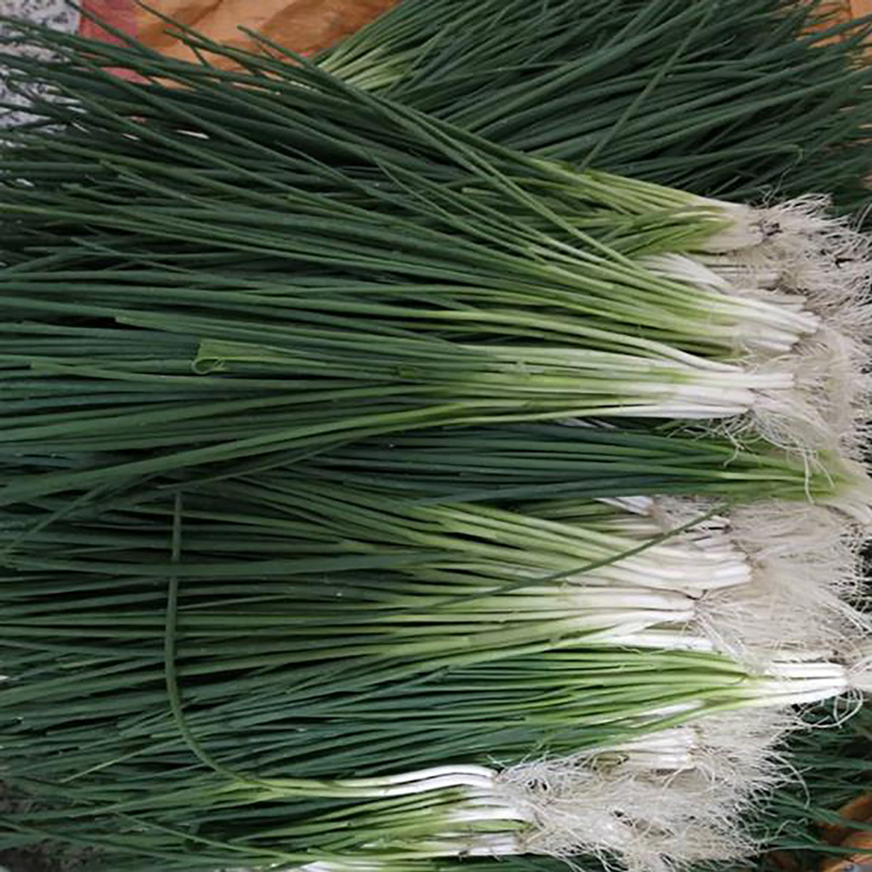 厂家食品原料香葱粉 - Image 2