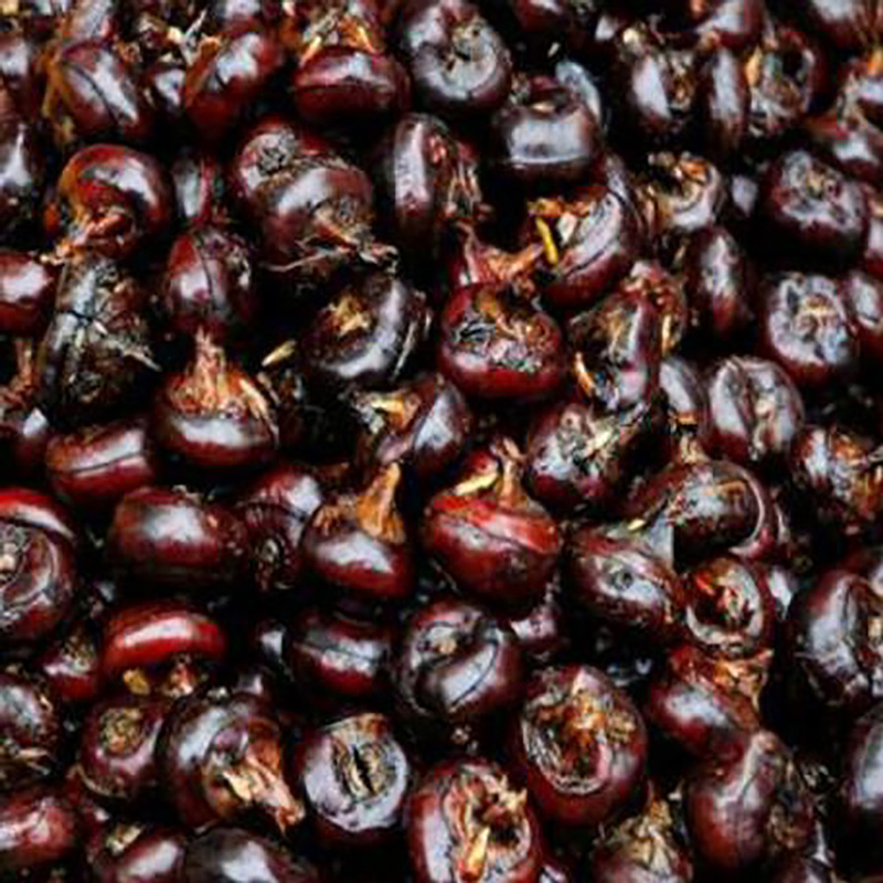 厂家供应桂林特产马蹄干片 - Image 4