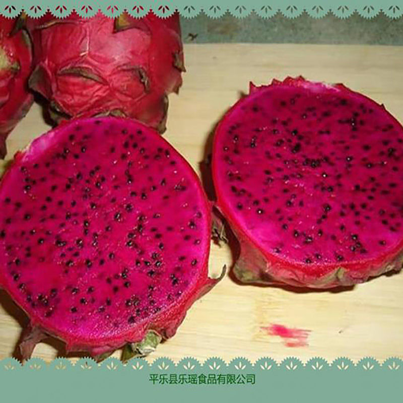 红心火龙果粉火龙果干片 - Image 2