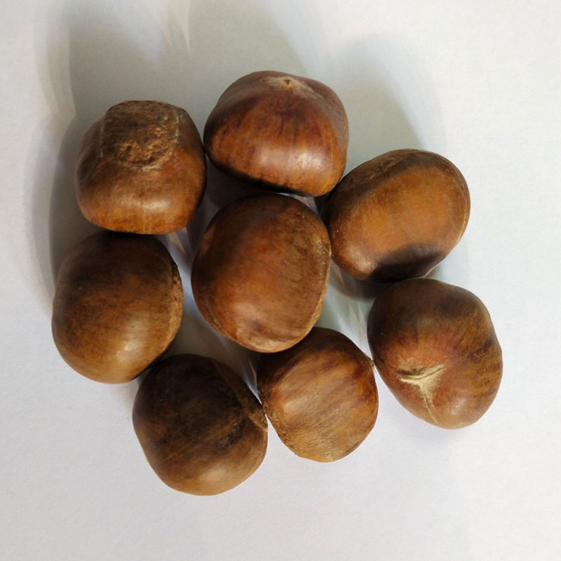 乐瑶板栗泥粉熟板栗粉全粉 - Image 4