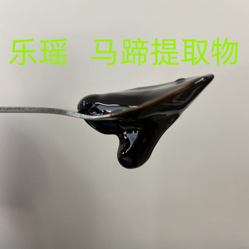 马蹄提取物 - Image 2