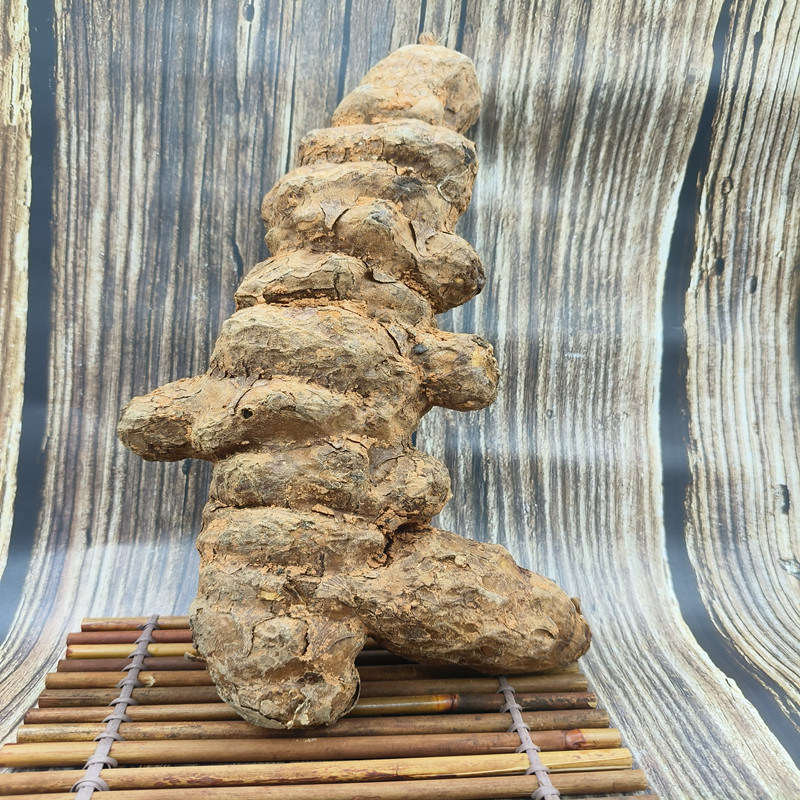 基地供应有机新鲜土茯苓 - Image 4